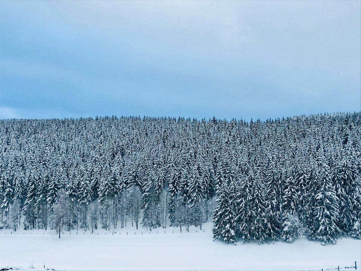 Appartement Familie Willems Winterberg Am Waltenberg Exteriör bild