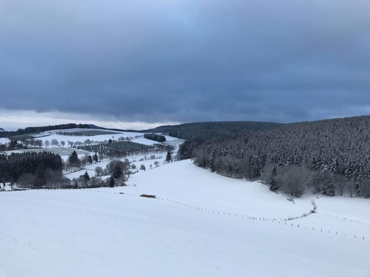 Appartement Familie Willems Winterberg Am Waltenberg Exteriör bild